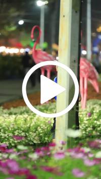 BIB:  <button type="button" onclick="openModal(27589886)" class="btn btn-primary btn-sm float-right" data-toggle="modal" data-target=".modal-high-quality">
                <i class="fa fa-download"></i> Download
                </button>